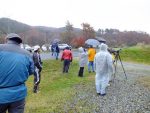 【イベント報告】八幡高原の野鳥観察会