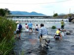【イベント案内】可愛川の水生生物観察会