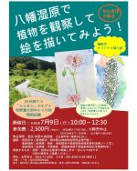 【イベント案内】八幡湿原で植物を観察して絵を描いてみよう！（2023.7.9.開催）