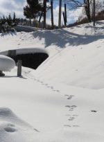 北広島町の誕生日と雪上の足跡と（2023.2.1）