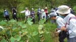 【天候により中止】八幡湿原の植物観察会（初秋）（2024.8.31.開催）