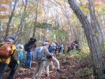 【定員になりました/イベント案内】苅尾山の植物観察会（2024.10.6.開催）