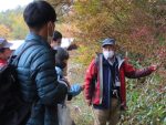 【イベント案内】八幡湿原の植物観察会（2023.9.2.開催）