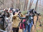 【イベント案内】八幡高原の野鳥観察会