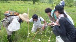 【イベント案内】霧ヶ谷湿原の植生調査（夏）