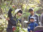【イベント案内】高杉山の植物観察会（10月31日開催）
