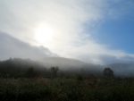 今朝の霧ヶ谷湿原（2017.10.8）