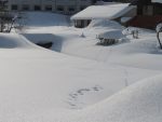 本日の雪景色（2018.2.9）